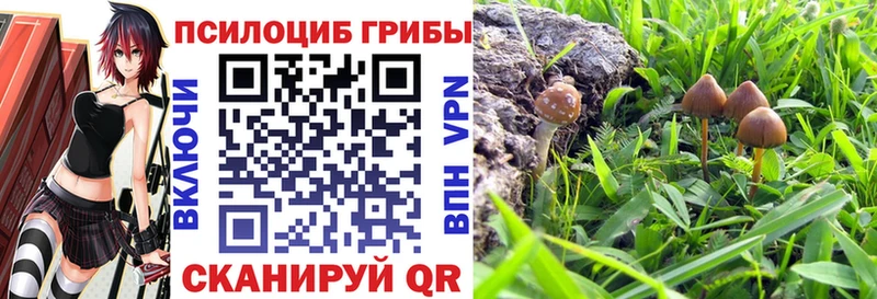 Галлюциногенные грибы мицелий  Купить  Дзержинский 